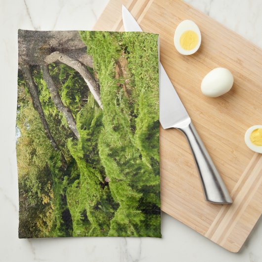 Cedar-of-Libanon Tree Tea Towel Theedoek (Quarter Fold)