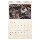 Cedar Rapids Zen Center 2020 Agenda Kalender (Mar 2027)