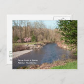 Cedar River Beach Briefkaart (Voorkant / Achterkant)