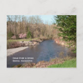 Cedar River Beach Briefkaart (Voorkant)