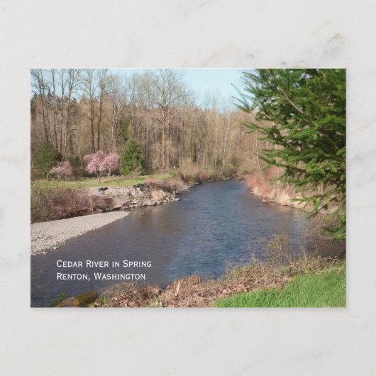 Cedar River Beach Briefkaart (Voorkant)