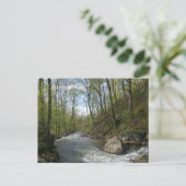 Cedar Run op White Oak Canyon Briefkaart (Staand voorkant)