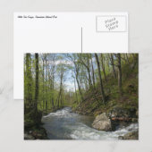 Cedar Run op White Oak Canyon Briefkaart (Voorkant / Achterkant)