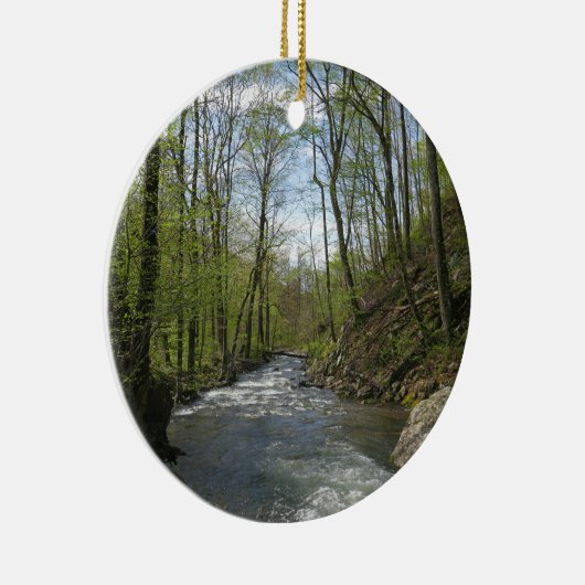 Cedar Run op White Oak Canyon Keramisch Ornament (Rechts)