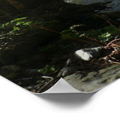 Cedar Run op White Oak Canyon Poster (Hoek)