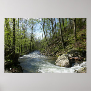 Cedar Run op White Oak Canyon Poster