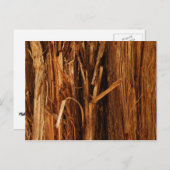Cedar Textured Wooden Bark look Briefkaart (Voorkant / Achterkant)