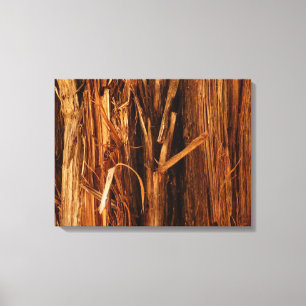 Cedar Textured Wooden Bark look Canvas Afdruk
