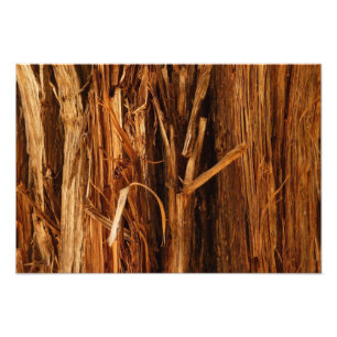 Cedar Textured Wooden Bark look Foto Afdruk