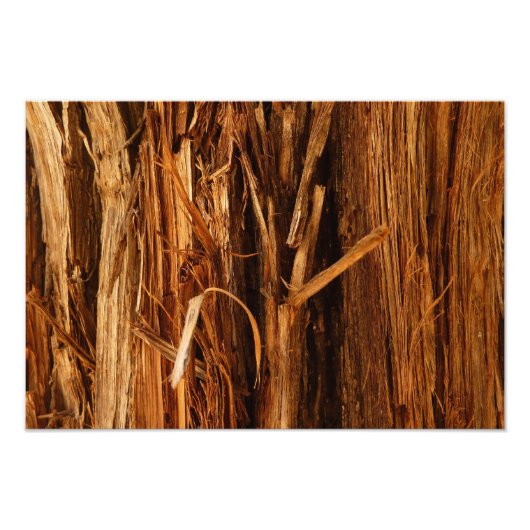 Cedar Textured Wooden Bark look Foto Afdruk (Voorkant)