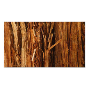 Cedar Textured Wooden Bark look Foto Afdruk