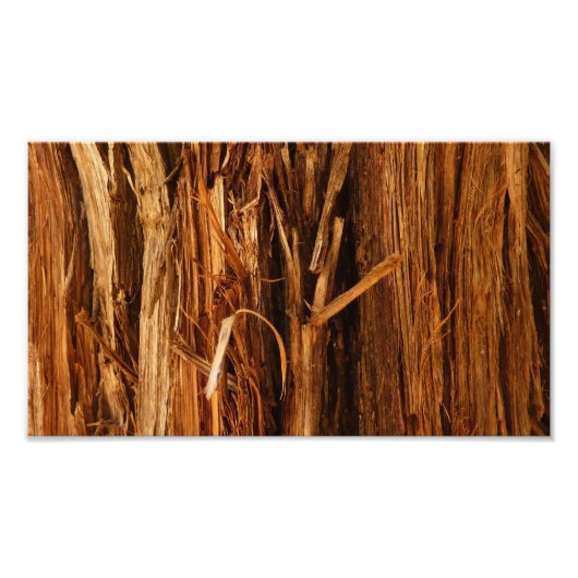 Cedar Textured Wooden Bark look Foto Afdruk (Voorkant)