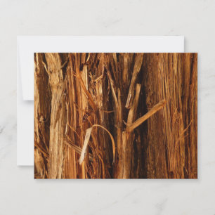 Cedar Textured Wooden Bark look Kaart
