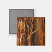 Cedar Textured Wooden Bark look Magneet (Voorkant / Achterkant)