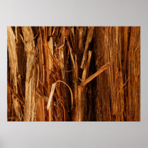 Cedar Textured Wooden Bark look Poster