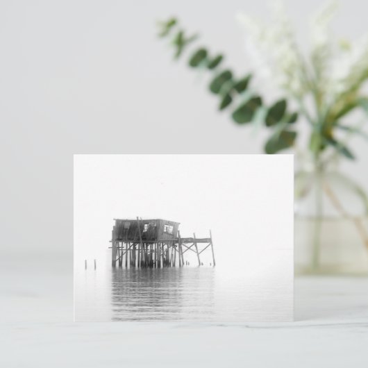 Cedar-toets Briefkaart (Staand voorkant)