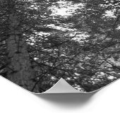 Cedar Tree Black en White Natuur Forest Poster (Hoek)