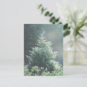 Cedar Tree-Briefkaart Briefkaart (Staand voorkant)