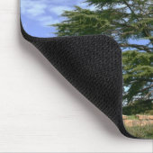 Cedar van Libanon Muismat (Hoek)