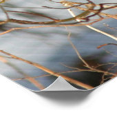 Cedar-wassen in winterdieren poster (Hoek)