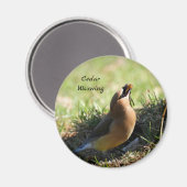 Cedar-wasvogel Magneet (Voorkant / Achterkant)