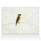 Cedar Waxing (Binnen Horizontaal (Boven))