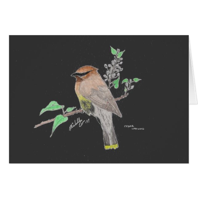 Cedar Waxing (Voorkant Horizontaal)