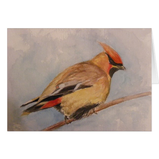 Cedar Waxing (Voorkant Horizontaal)