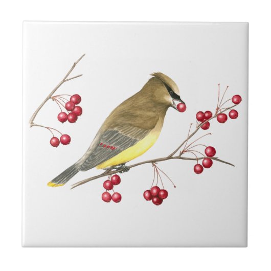 Cedar Waxing Bird Art Tile Tegeltje (Voorkant)