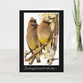 Cedar Waxing Birds krijgt een goede kaart (Voorkant)