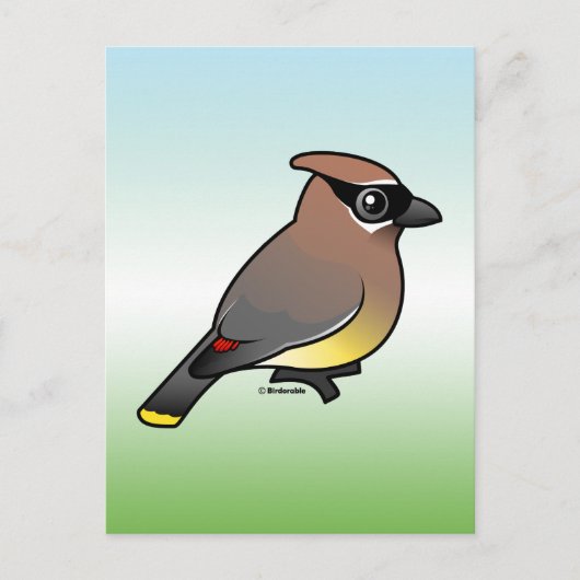 Cedar Waxing Briefkaart (Voorkant)