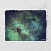 Cedar Waxing Briefkaart (Voorkant)