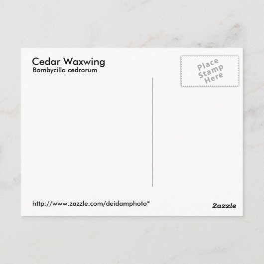 Cedar Waxing Briefkaart (Achterkant)