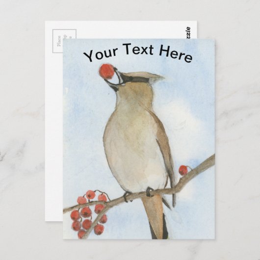 Cedar Waxing Briefkaart (Voorkant / Achterkant)