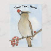 Cedar Waxing Briefkaart (Voorkant)