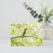 Cedar Waxing Briefkaart (Staand voorkant)