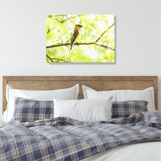 Cedar Waxing Canvas Afdruk (Insitu (Slaapkamer))