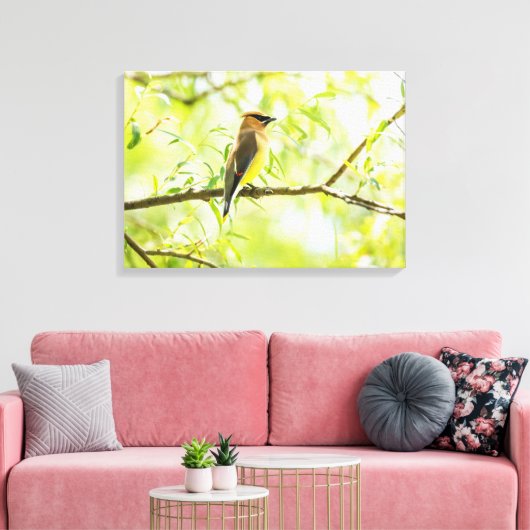 Cedar Waxing Canvas Afdruk (Insitu (Woonkamer))