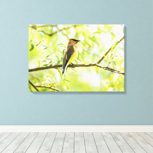 Cedar Waxing Canvas Afdruk (Insitu (Houten vloer))