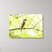 Cedar Waxing Canvas Afdruk (Voorkant)