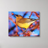 Cedar Waxing Canvas Afdruk (Voorkant)