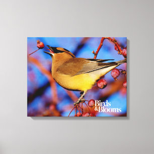 Cedar Waxing Canvas Afdruk