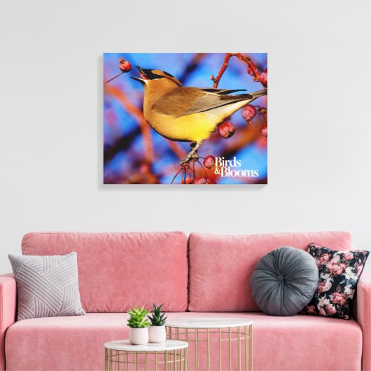 Cedar Waxing Canvas Afdruk (Insitu (Woonkamer))