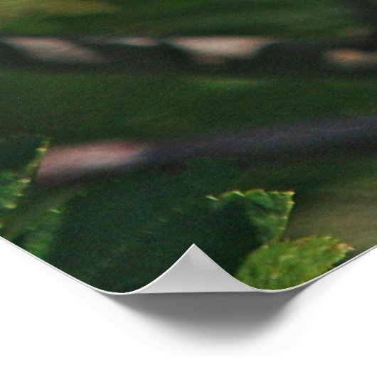 Cedar Waxing Eating Mountain Ash Berry Poster (Hoek)