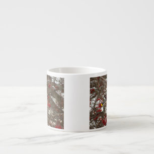 Cedar Waxing Espresso Kop