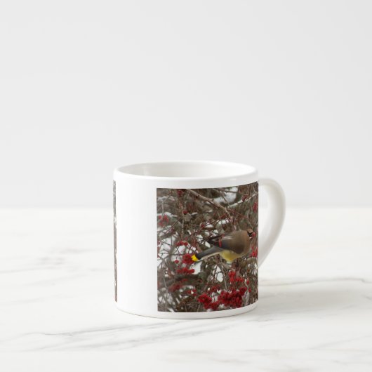 Cedar Waxing Espresso Kop (Voorkant rechts)