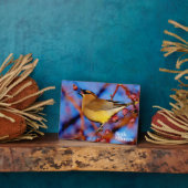 Cedar Waxing Fotoplaat (Zijkant)