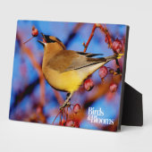 Cedar Waxing Fotoplaat (Zijkant)