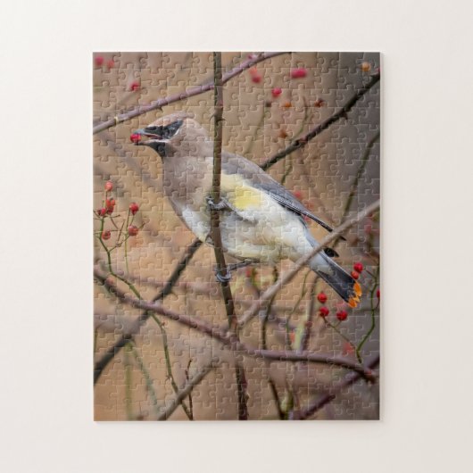 Cedar Waxing | Jigzaag Puzzle Legpuzzel (Verticaal)