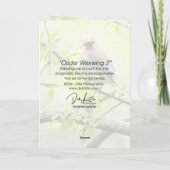 Cedar Waxing Kaart (Achterkant)